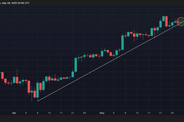 Биткоин под угрозой коррекции: что ждать инвесторам перед отчетами Nvidia и Fed?