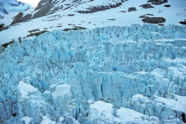 Midnight Network запускает NIGHT: Уникальный механизм аирдропа Glacier Drop и токеномика для долгосрочного роста