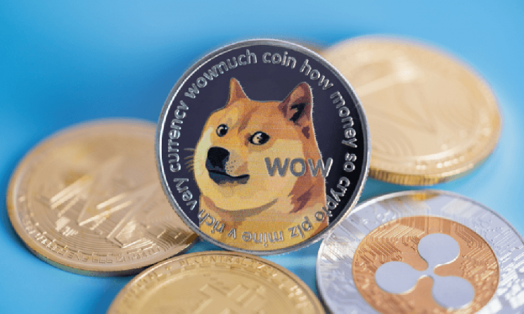 Dogecoin Wallet и команды приложений объединяются, чтобы дать DOGE больше возможностей для повседневного использования