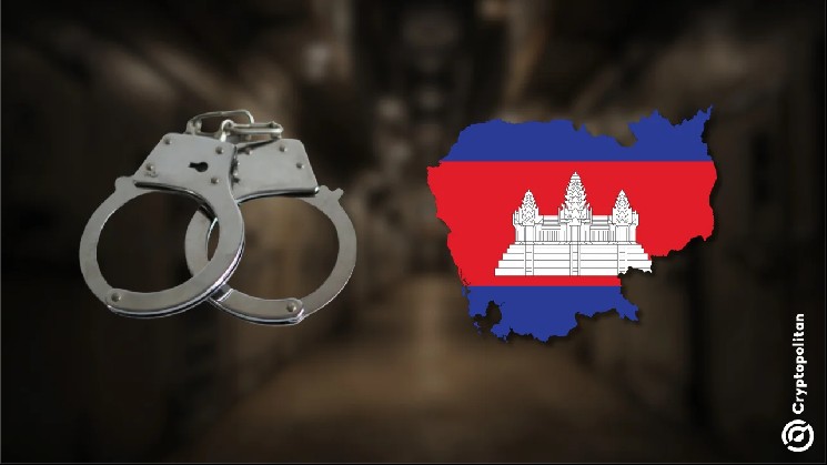 Камбоджа заморозила активы Prince Group на  млрд, страны делят империю Чэнь Чжи